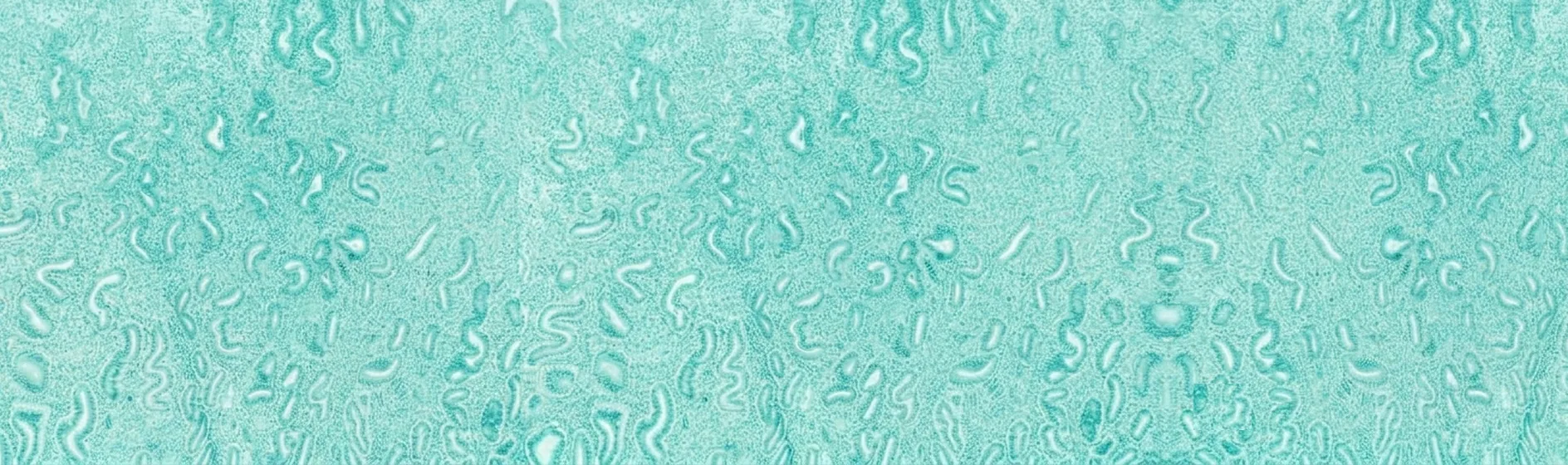 Endometrial Basal Cell