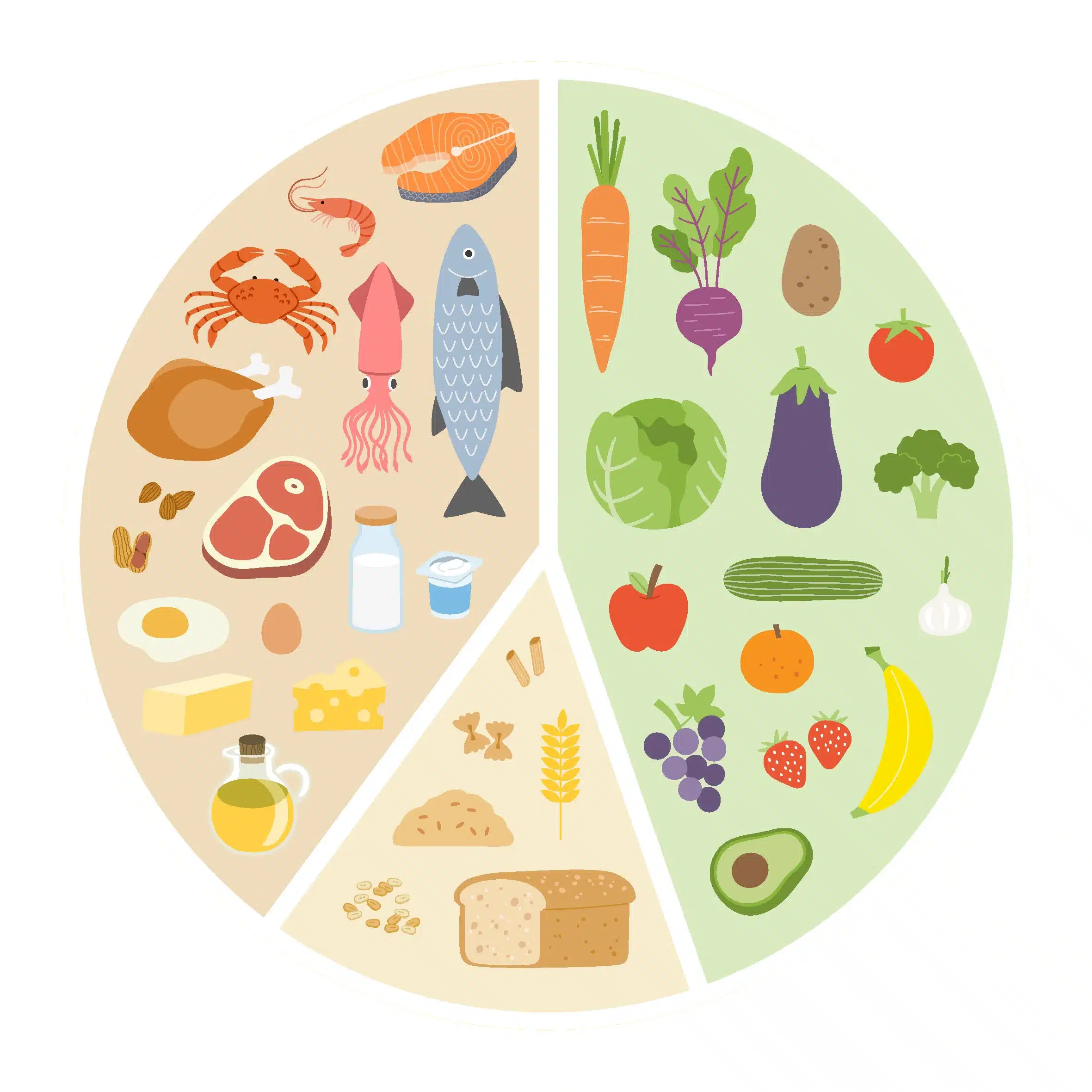 A circular food wheel split into two halves: left with meat, dairy, and grains; right with vegetables and fruits; demonstrates food groups.