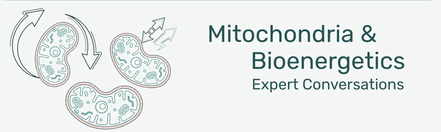 two-curious-mds-meet-a-mitochondrial-researcher-a-conversation-about-lifes-energy-portal/