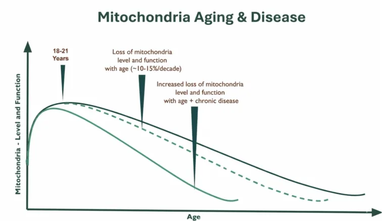 Mitochondrial Aging & Disease