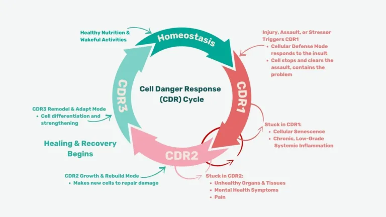 Cell Danger Response & Mitochondria – A Presentation by Dr. Robert Naviaux